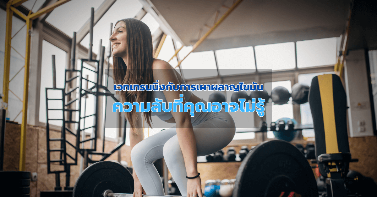 เวทเทรนนิ่งกับการเผาผลาญไขมัน: ความลับที่คุณอาจไม่รู้