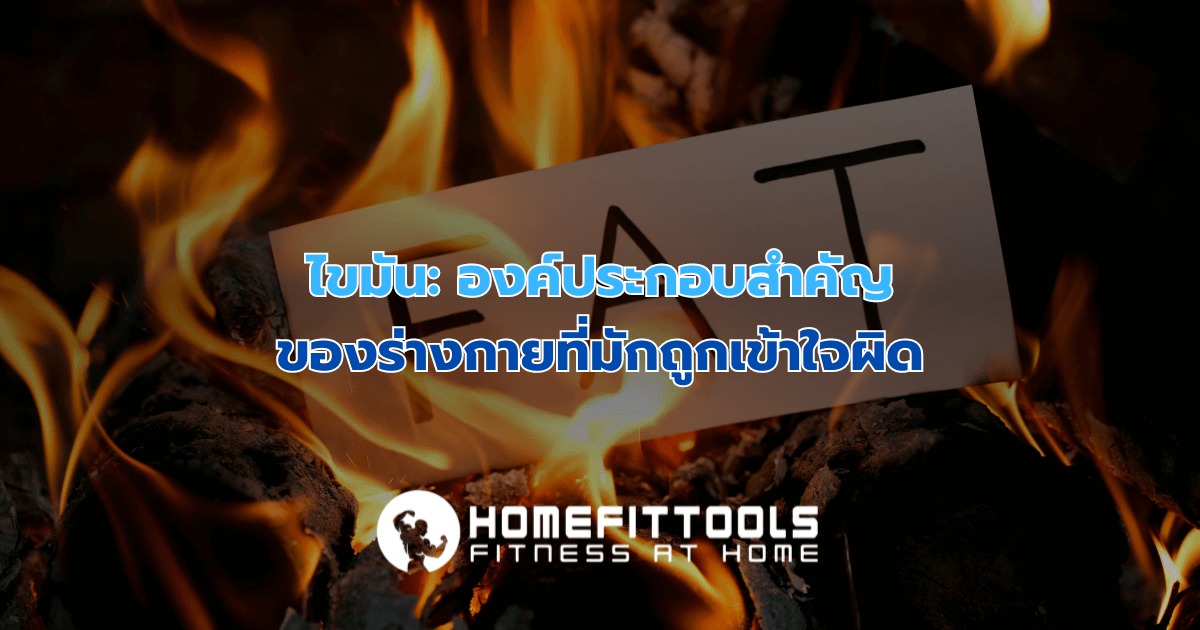 ไขมัน: องค์ประกอบสำคัญของร่างกายที่มักถูกเข้าใจผิด