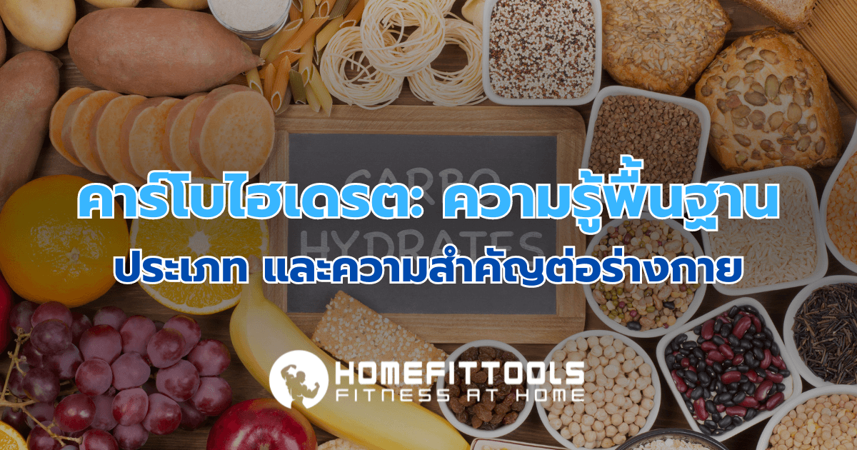 คาร์โบไฮเดรต คืออะไร ประเภท และประโยชน์สำหรับคนออกกำลังกาย