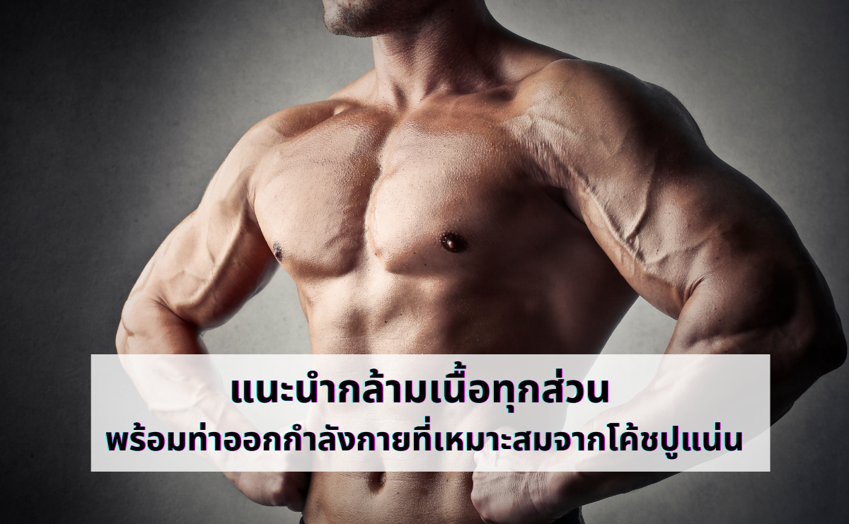 แนะนำกล้ามเนื้อทุกส่วน พร้อมท่าออกกำลังกายที่เหมาะสมจากโค้ชปูแน่น