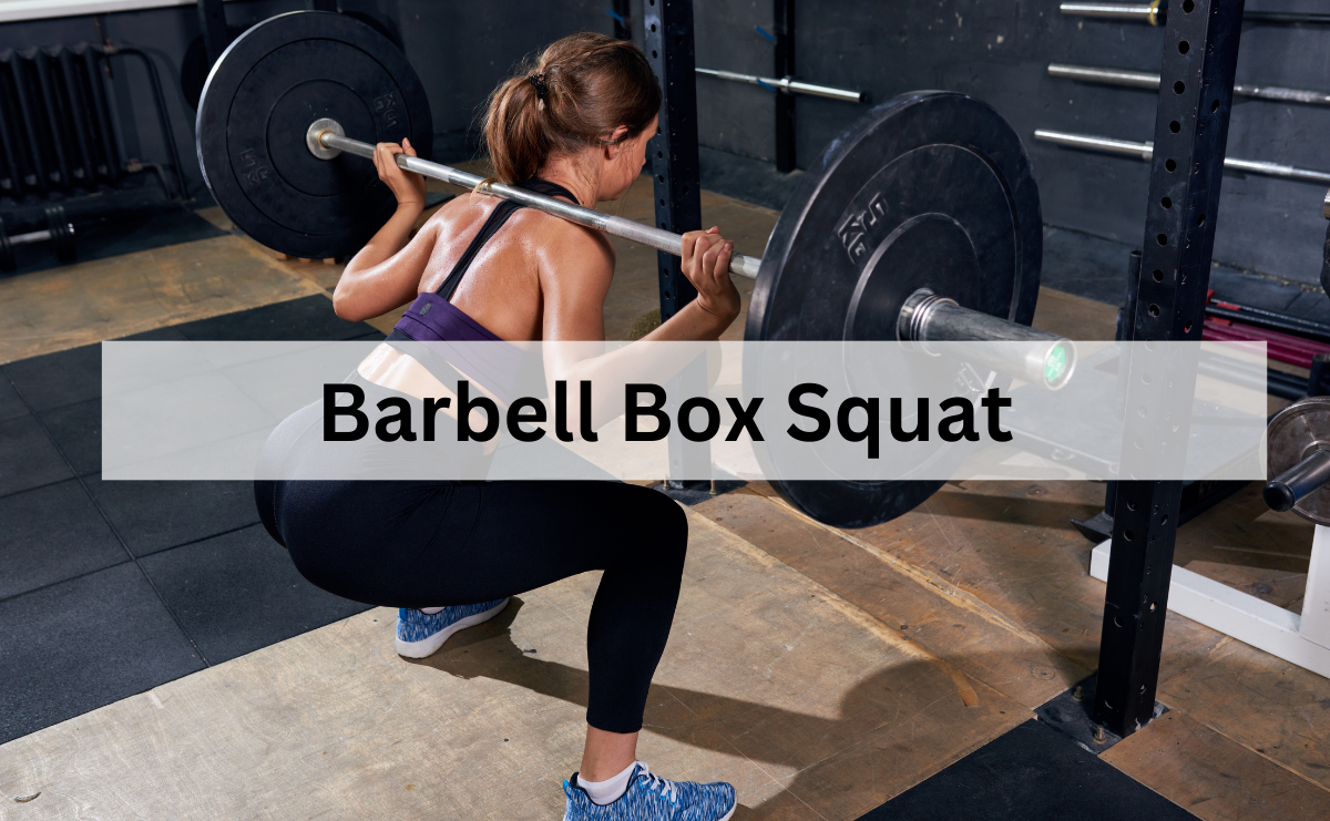 Barbell Box Squat ท่าสควอทบนกล่องเพื่อพัฒนาความแข็งแรงและพลังระเบิด