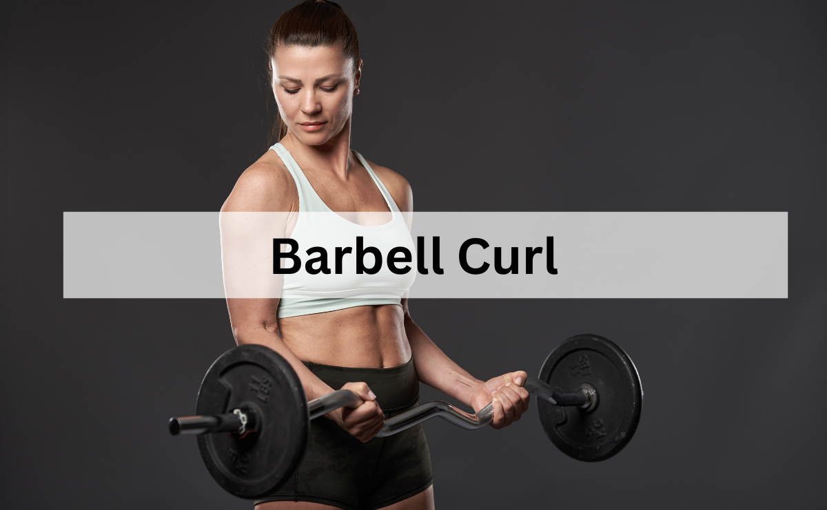 Barbell Curl ท่าบาร์เบลเคิร์ลพื้นฐานเพื่อพัฒนากล้ามเนื้อต้นแขนด้านหน้า