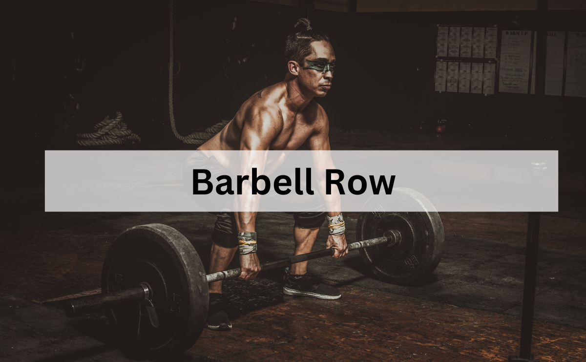 Barbell Row ท่าโหนบาร์เบลเพื่อพัฒนากล้ามเนื้อหลังและแขน