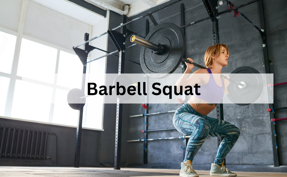 Barbell Squat ท่าพื้นฐานสำหรับสร้างความแข็งแรงทั้งร่างกาย