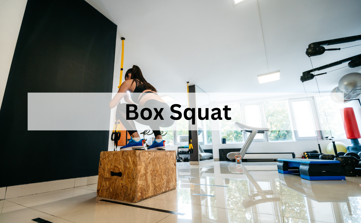 Box Squat ท่าสควอทบนกล่องเพื่อพัฒนาพลังและเทคนิค