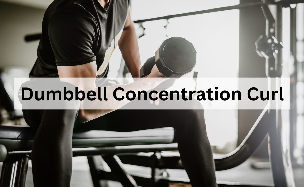 Dumbbell Concentration Curl เน้นสร้างกล้ามเนื้อแขนหน้าให้เด่นชัด