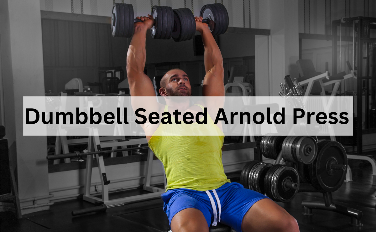 Dumbbell Seated Arnold Press เพิ่มพลังและความแข็งแรงของหัวไหล่