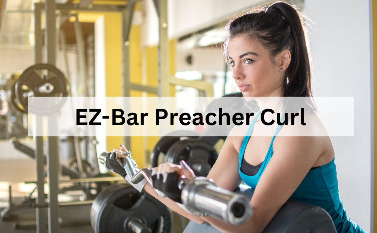 EZ-Bar Preacher Curl สร้างกล้ามเนื้อแขนหน้าให้โดดเด่น