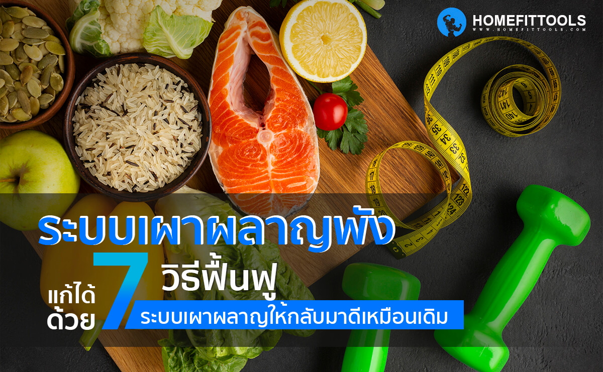 ระบบเผาผลาญพัง แก้ได้ด้วย 7 วิธี ฟื้นฟูระบบเผาผลาญให้กลับมาดีเหมือนเดิม
