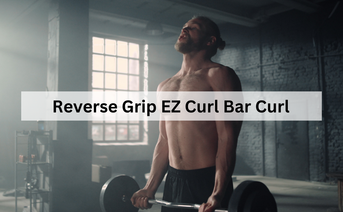 Reverse Grip EZ Curl Bar Curl พัฒนากล้ามแขนอย่างสมดุลและลดแรงตึงที่ข้อมือ
