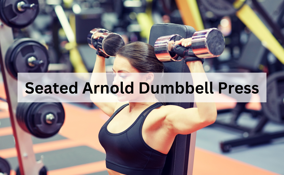 Seated Arnold Dumbbell Press ท่าฝึกเสริมสร้างไหล่และแขนให้แข็งแรงอย่างมืออาชีพ