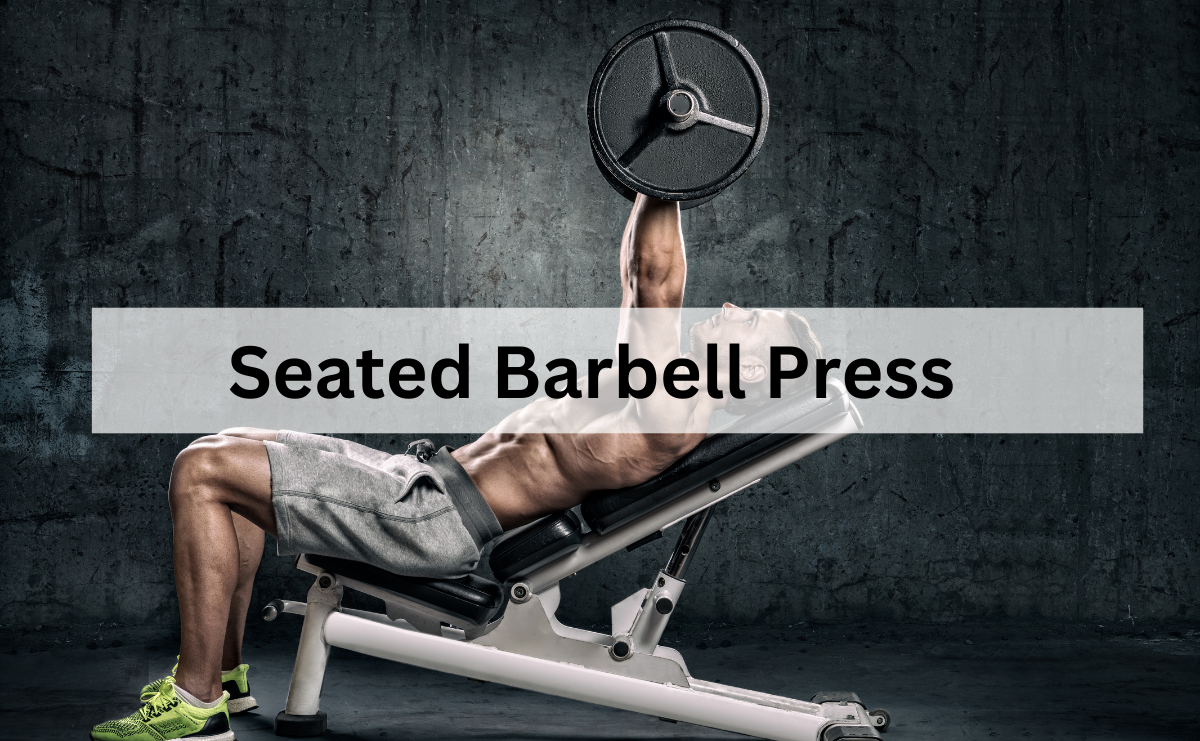 Seated Barbell Press ท่าฝึกเสริมสร้างไหล่และความแข็งแรงของร่างกายส่วนบน