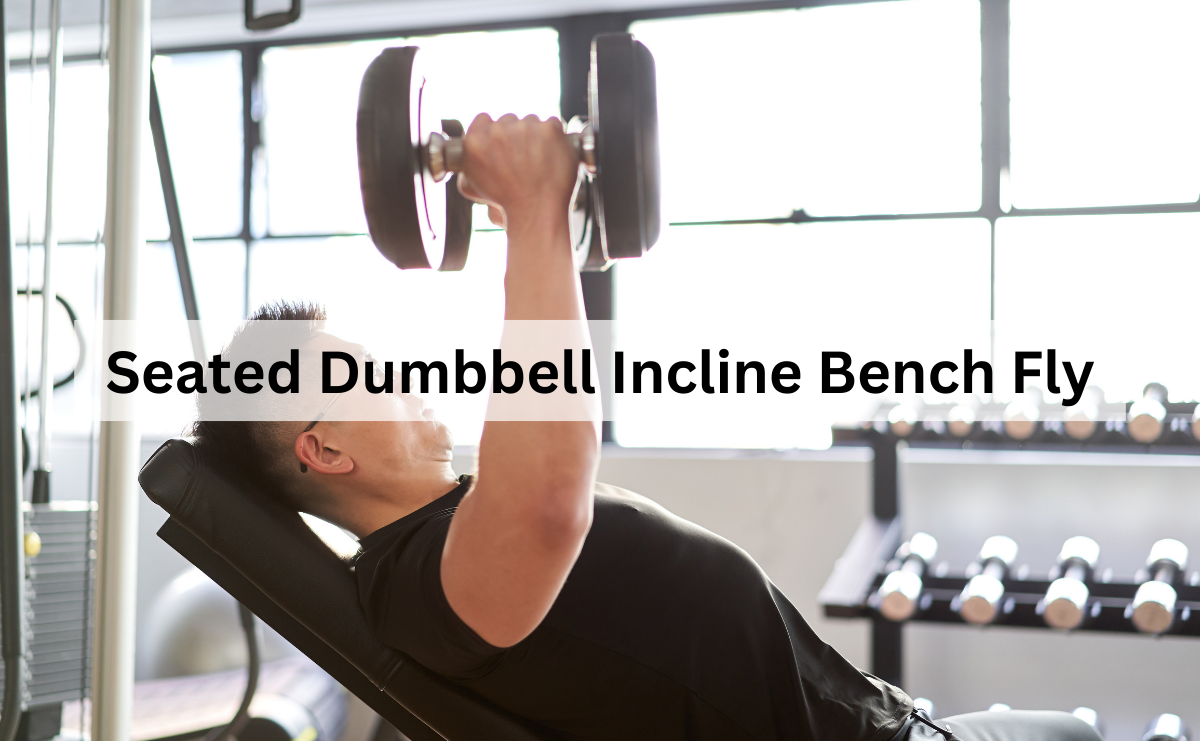 Seated Dumbbell Incline Bench Fly เสริมกล้ามเนื้ออกให้แข็งแกร่งและมีมิติ
