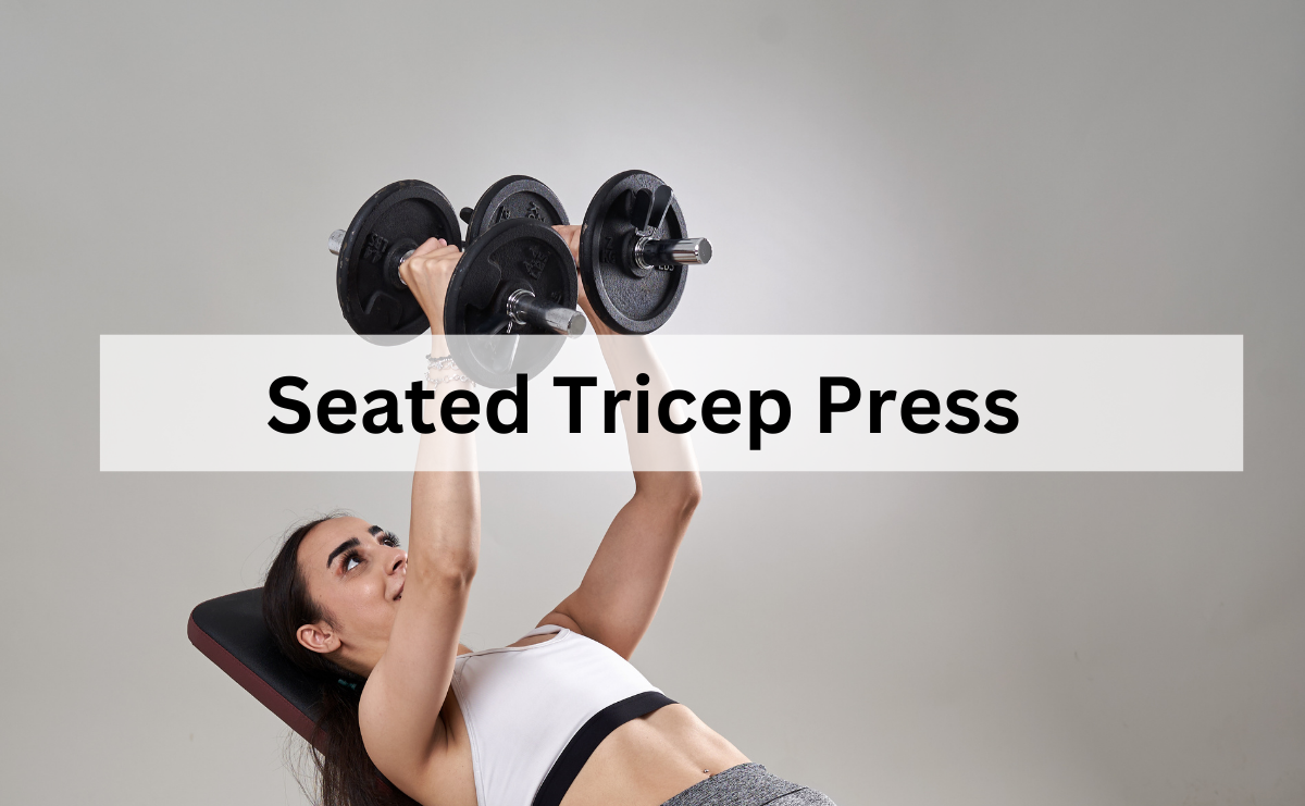 Seated Tricep Press เสริมกล้ามเนื้อแขนหลังให้แข็งแรงและกระชับ