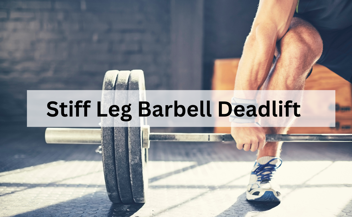 Stiff Leg Barbell Deadlift พัฒนากล้ามเนื้อหลังขาและหลังส่วนล่างอย่างมีประสิทธิภาพ