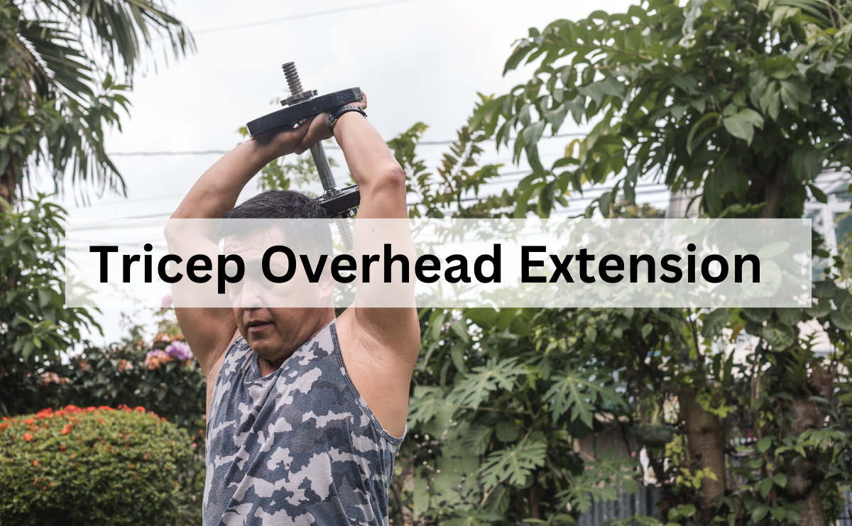 Tricep Overhead Extension เสริมสร้างกล้ามเนื้อหลังแขนด้วยพลังและความกระชับ