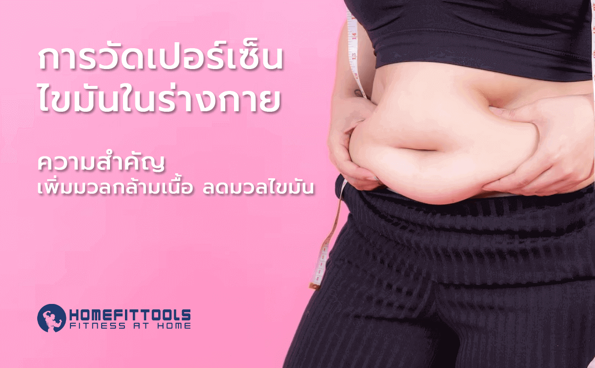 การวัด เปอร์เซ็นต์ไขมัน ไขมันในร่างกาย ความสำคัญ เพิ่มมวลกล้ามเนื้อ ลดมวลไขมัน