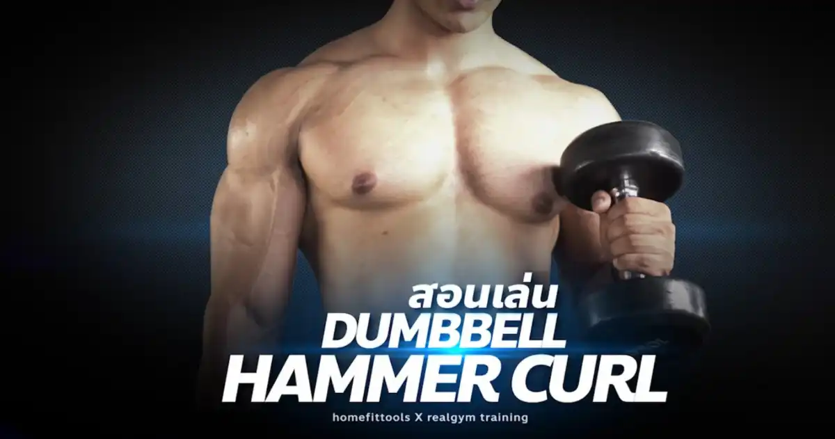 ท่าออกกำลังกาย Dumbbell Hammer Curl พร้อมวิดีโอสาธิต อัปเดต 2025 - โค้ชออตโต้