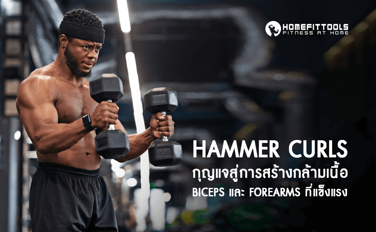 Hammer Curls กุญแจสู่การสร้างกล้ามเนื้อ Biceps และ Forearms ที่แข็งแรง
