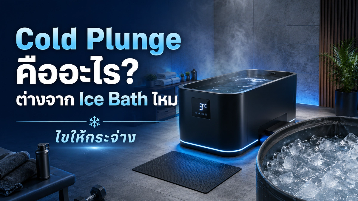 Cold Plunge คืออะไร? ต่างจาก Ice Bath ไหม ไขให้กระจ่างพร้อมราคา 2026