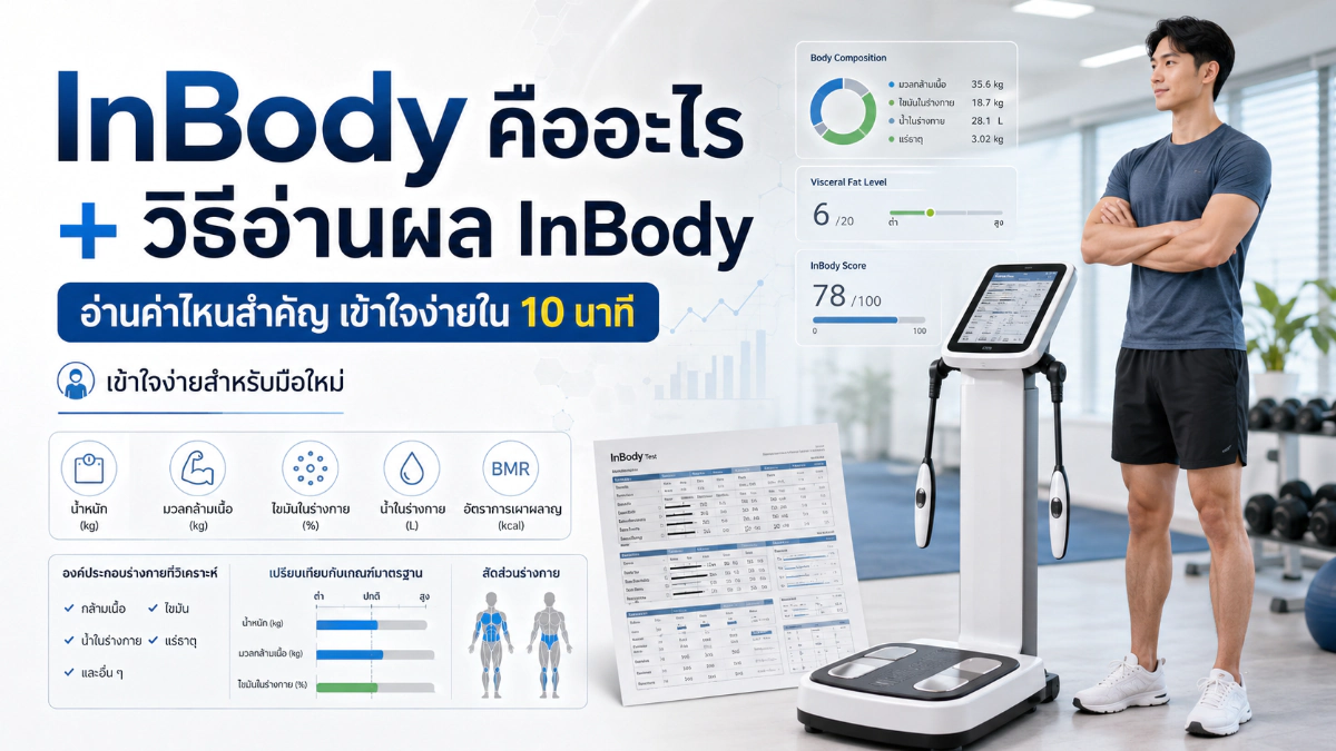 InBody คืออะไร + วิธีอ่านผล InBody อ่านค่าไหนสำคัญ เข้าใจง่ายใน 10 นาที