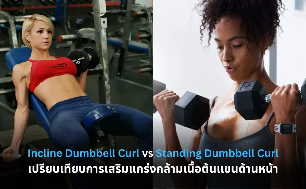 Incline Dumbbell Curl vs Standing Dumbbell Curl เปรียบเทียบการเสริมแกร่งกล้ามเนื้อต้นแขนด้านหน้า