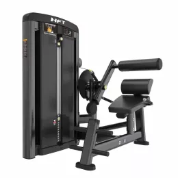 เครื่อง Back Extension DDJ18 เครื่องฝึกหลังล่าง Pin-Selected Commercial สำหรับฟิตเนสมืออาชีพ