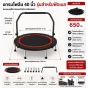 Trampoline Plus แทรมโพลีน มีที่จับทรงกลม (40"/48") - คาร์ดิโอบ้านมือใหม่ สูงอายุ ก็เล่นได้
