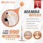 รุ่นใหม่! เป้าชกมวย Mamba Reflex เป้าเด้ง ซ้อมมวย Punching Ball กระสอบชกมวย 
