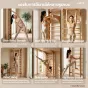 Stall Bar Wood Basic บันไดติดผนังโครงไม้สน รับ 100 กก.