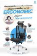 เก้าอี้ Ergonomic ErgoHome - เก้าอี้ทำงานเพื่อสุขภาพ ปรับได้ทุกสัดส่วน | HomeFit Tools