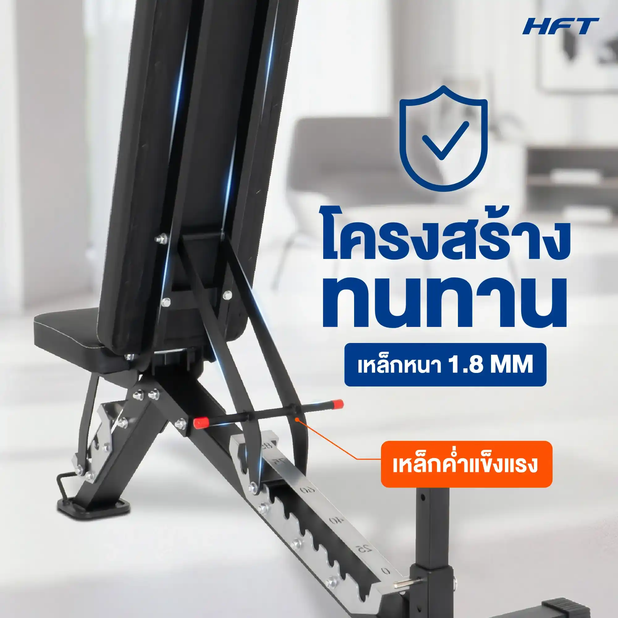 รีวิว FORCE 11