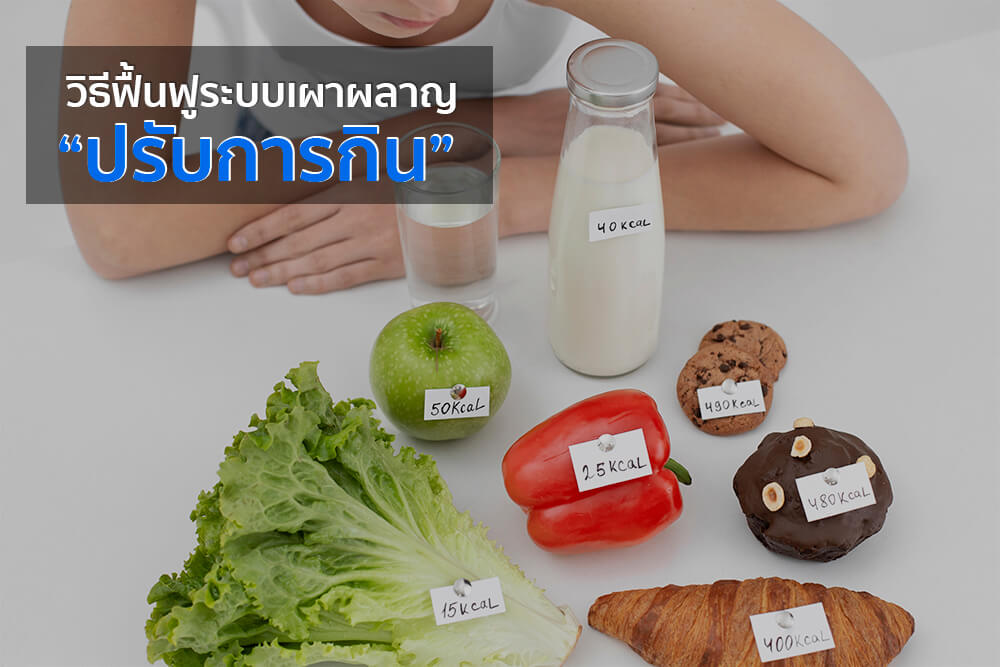 ระบบเผาผลาญพัง