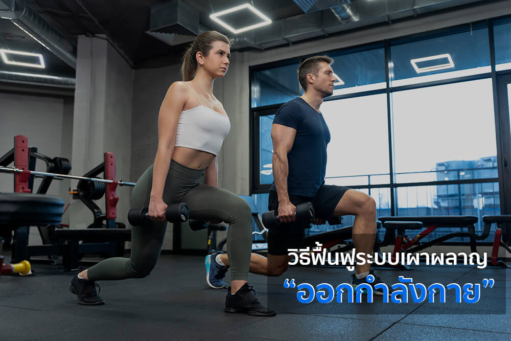 ระบบเผาผลาญพัง