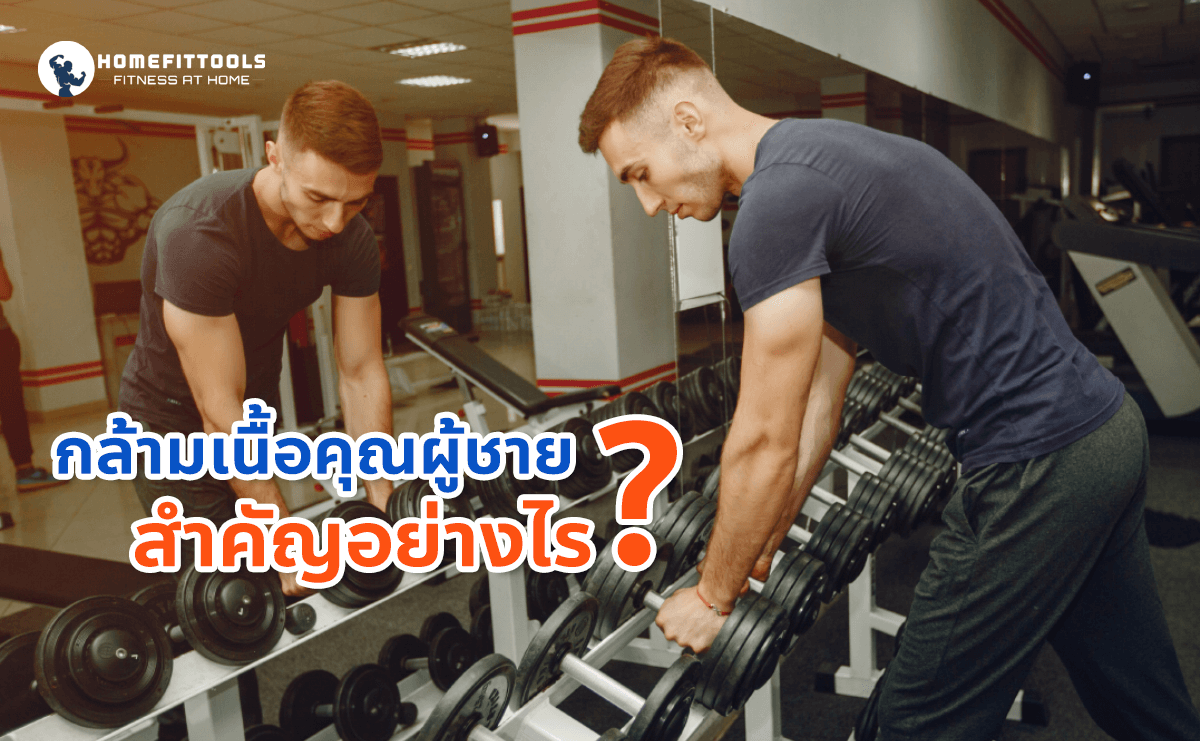 กล้ามเนื้อคุณผู้ชายสำคัญอย่างไร ออกกำลังกายลดพุงผู้ชาย