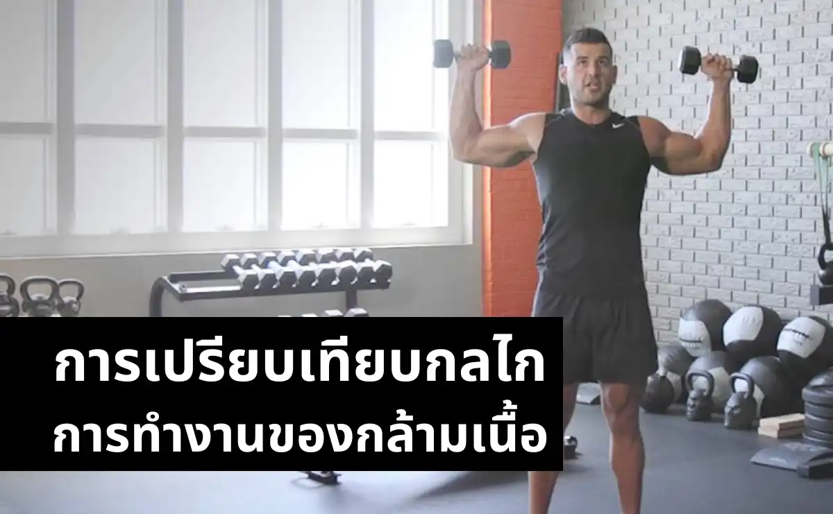 การเปรียบเทียบกลไกการทำงานของกล้ามเนื้อ Arnold Press