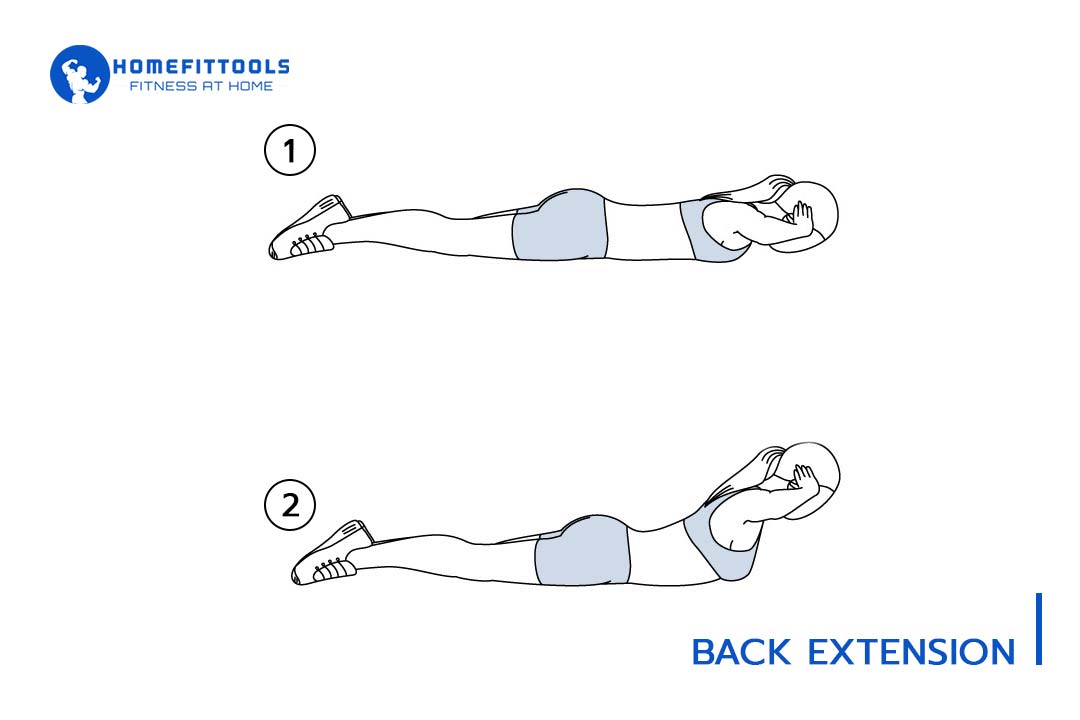 Back Extension Back Extension
