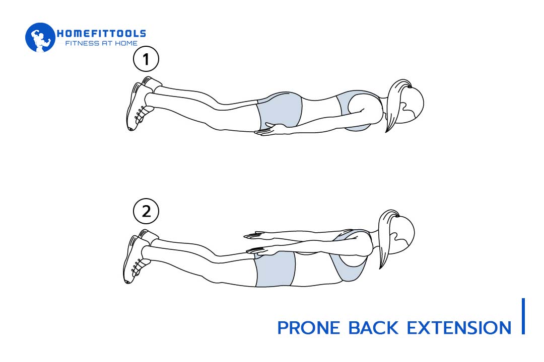 Back Extension Back Extension