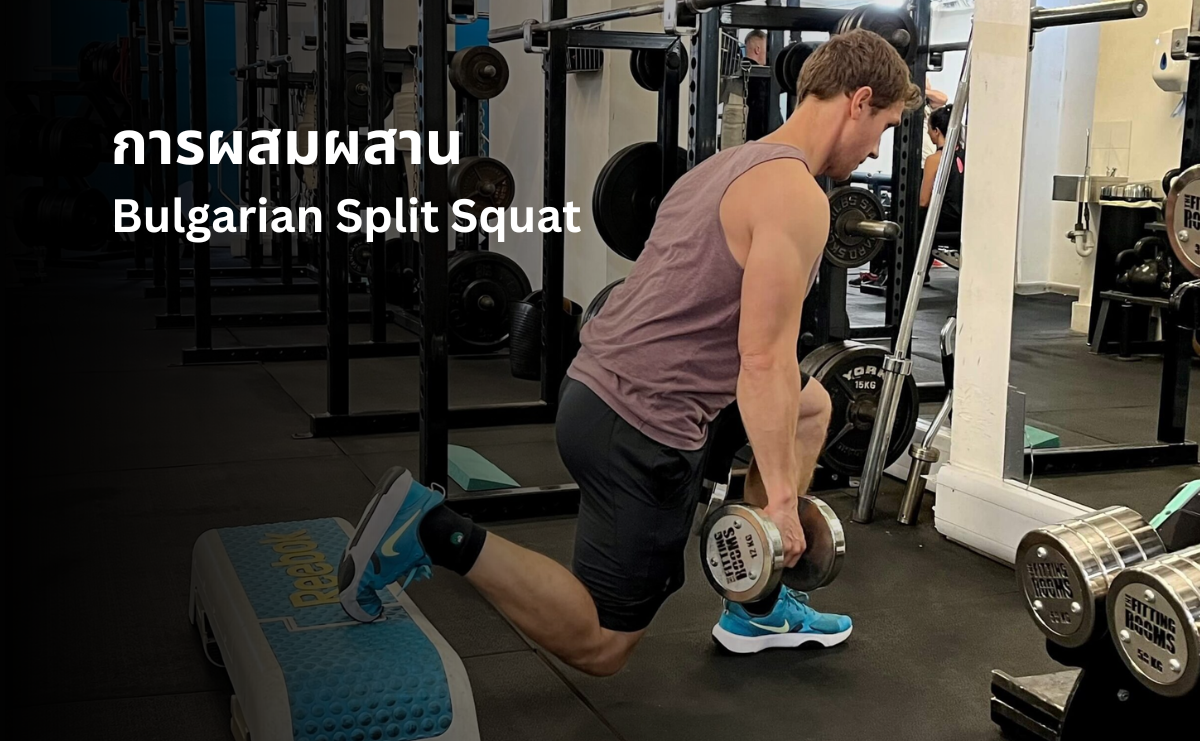 การผสมผสาน Bulgarian Split Squat