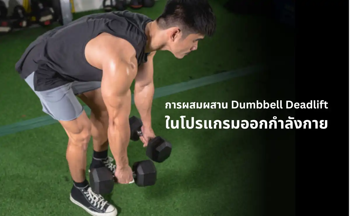การผสมผสาน Dumbbell Deadlift