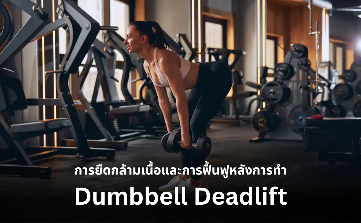 การยืดกล้ามเนื้อ Dumbbell Deadlift