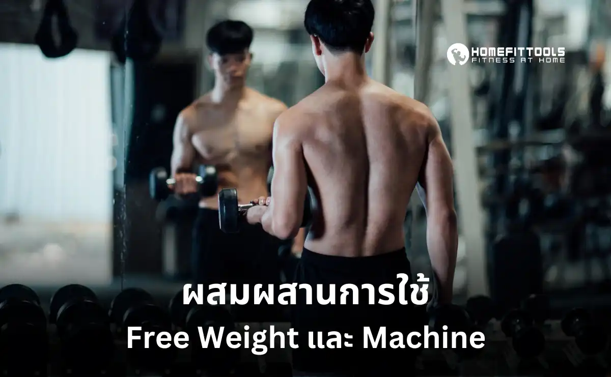 ผสมผสานการออกกำลังกาย Free Weight และ เครื่อง Machine