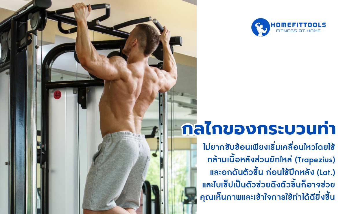 กลไกของกระบวนท่า