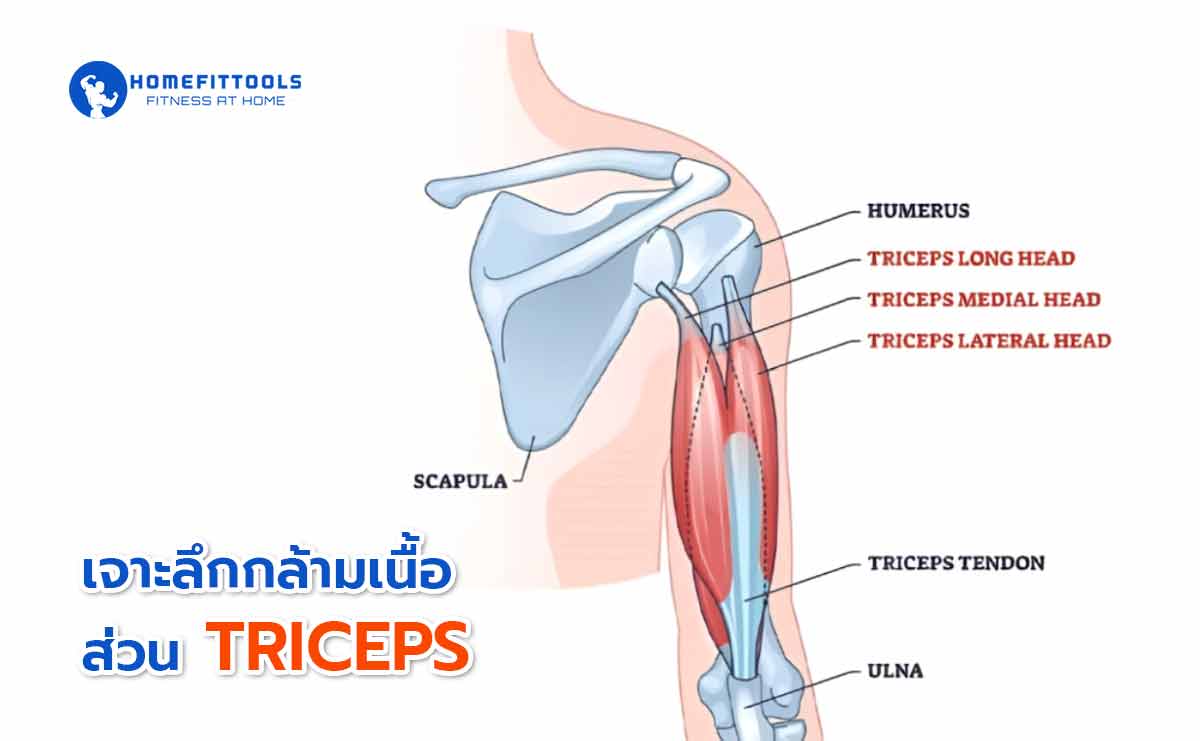 triceps dip