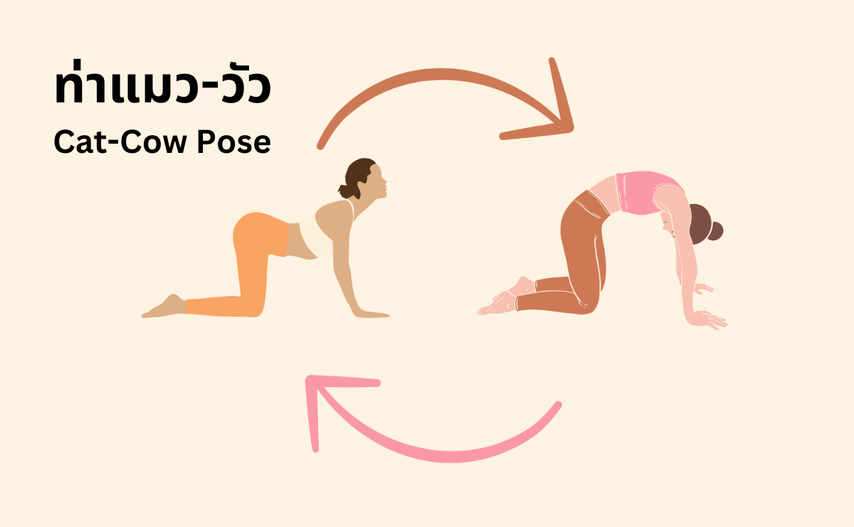 โยคะแก้ปวดหลัง