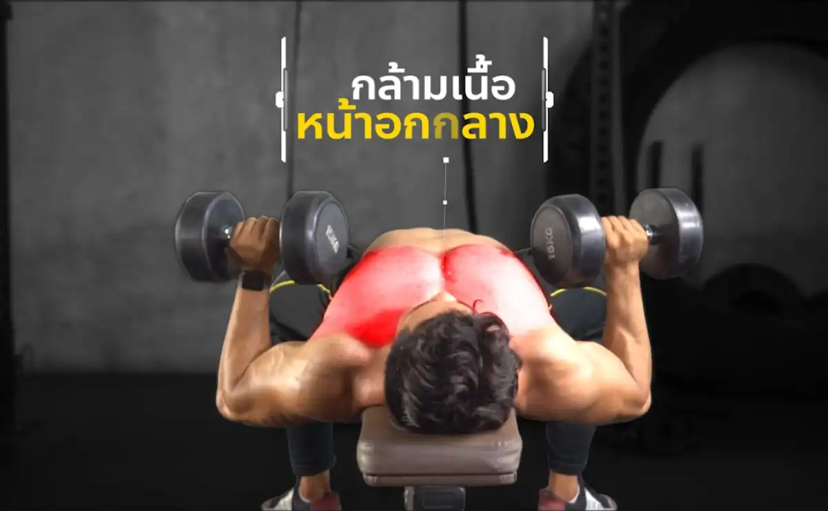 Dumbbell Bench Press กล้ามเนื้อที่จะได้ 1