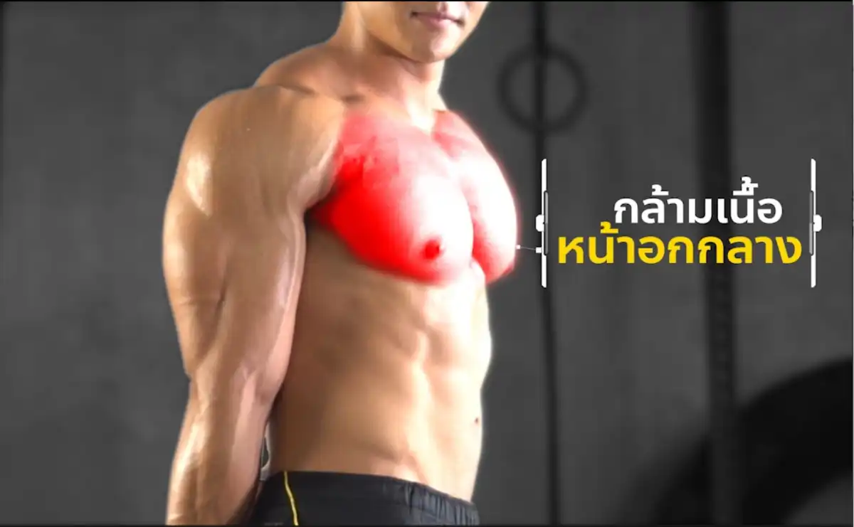 Dumbbell Bench Press กล้ามเนื้อที่จะได้ 2
