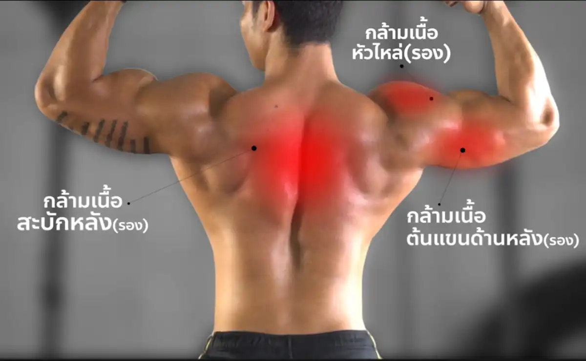 Dumbbell Bench Press กล้ามเนื้อที่จะได้ 3