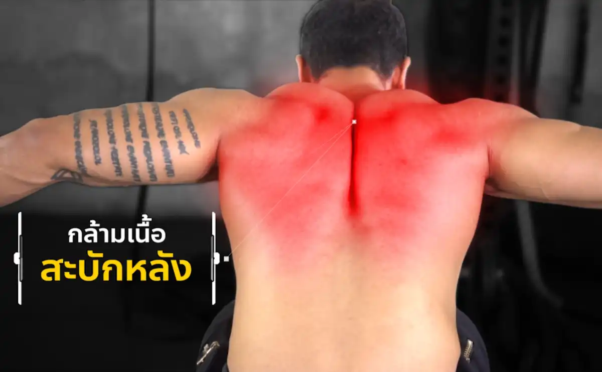 Dumbbell Reverse Fly กล้ามเนื้อเดลทอยด์ด้านหลังและสะบัก - 1