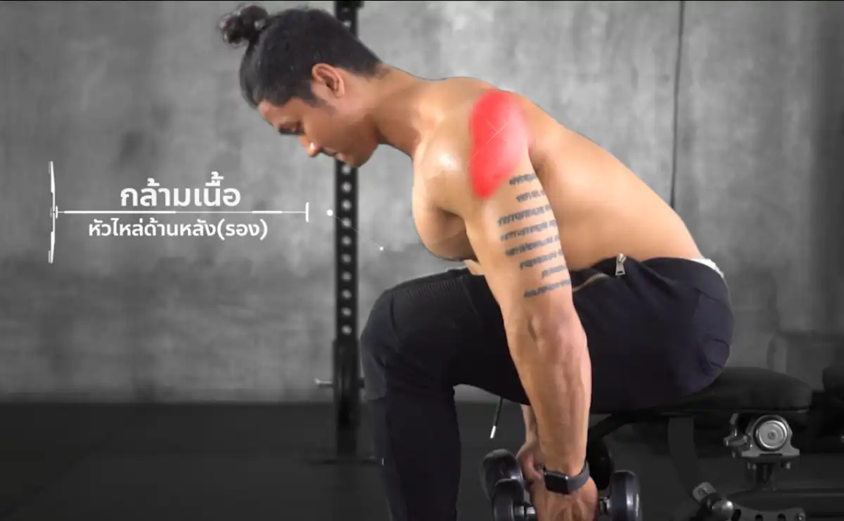 Dumbbell Reverse Fly กล้ามเนื้อเดลทอยด์ด้านหลังและสะบัก - 2